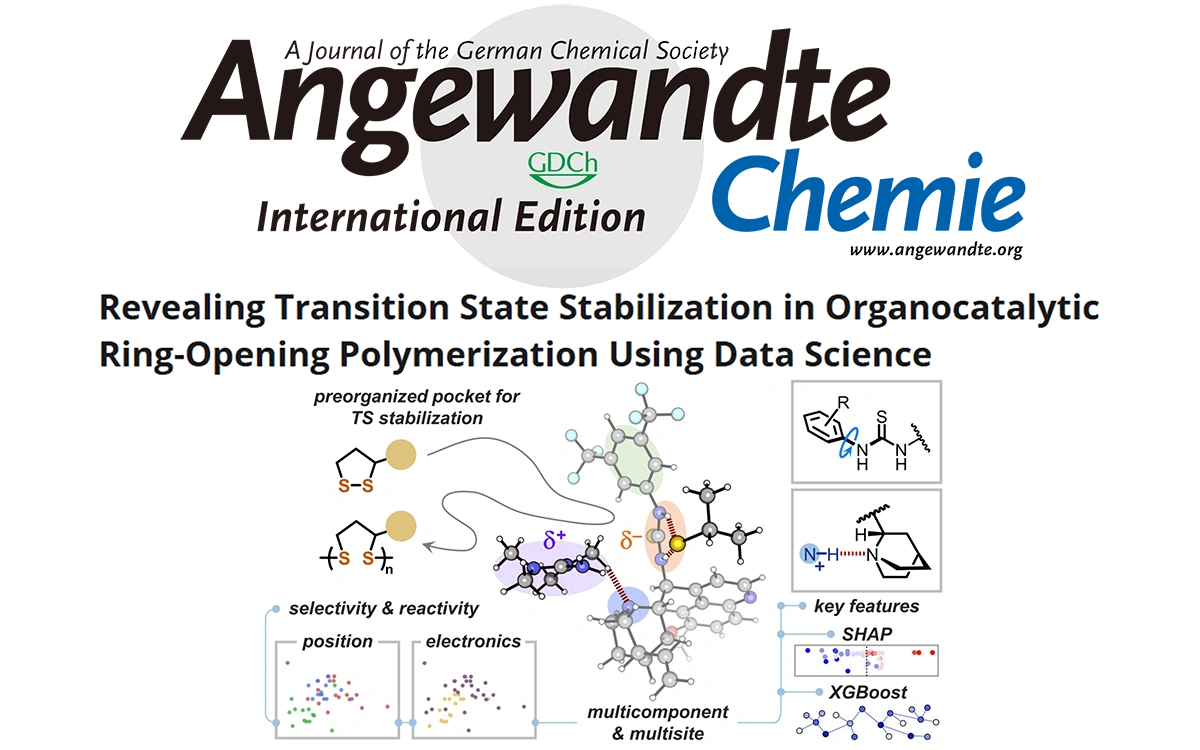 《Angewandte Chemie International Edition》：AI4EC Lab参与数据科学辅助解析有机催化二硫开环聚合中过渡态的稳定化机制